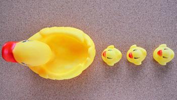 Want to Do Marketing Automation? Do These 6 Things First